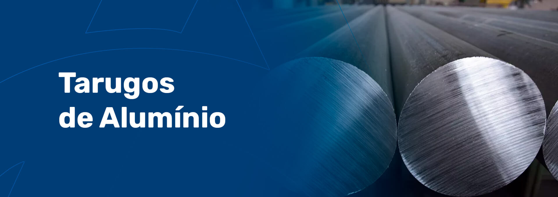 site-ASM-INTERNA-produtos-tarugo